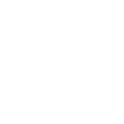 20+ Years of Experience