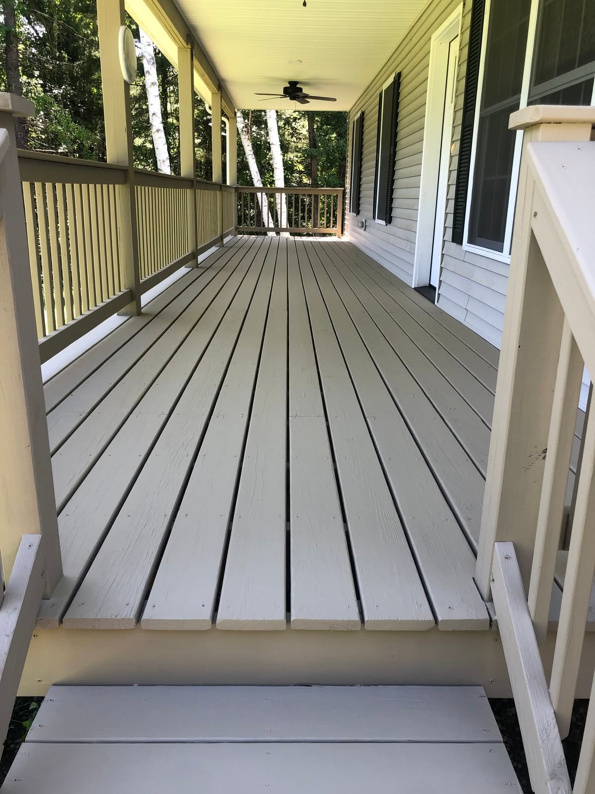 Deck Painting